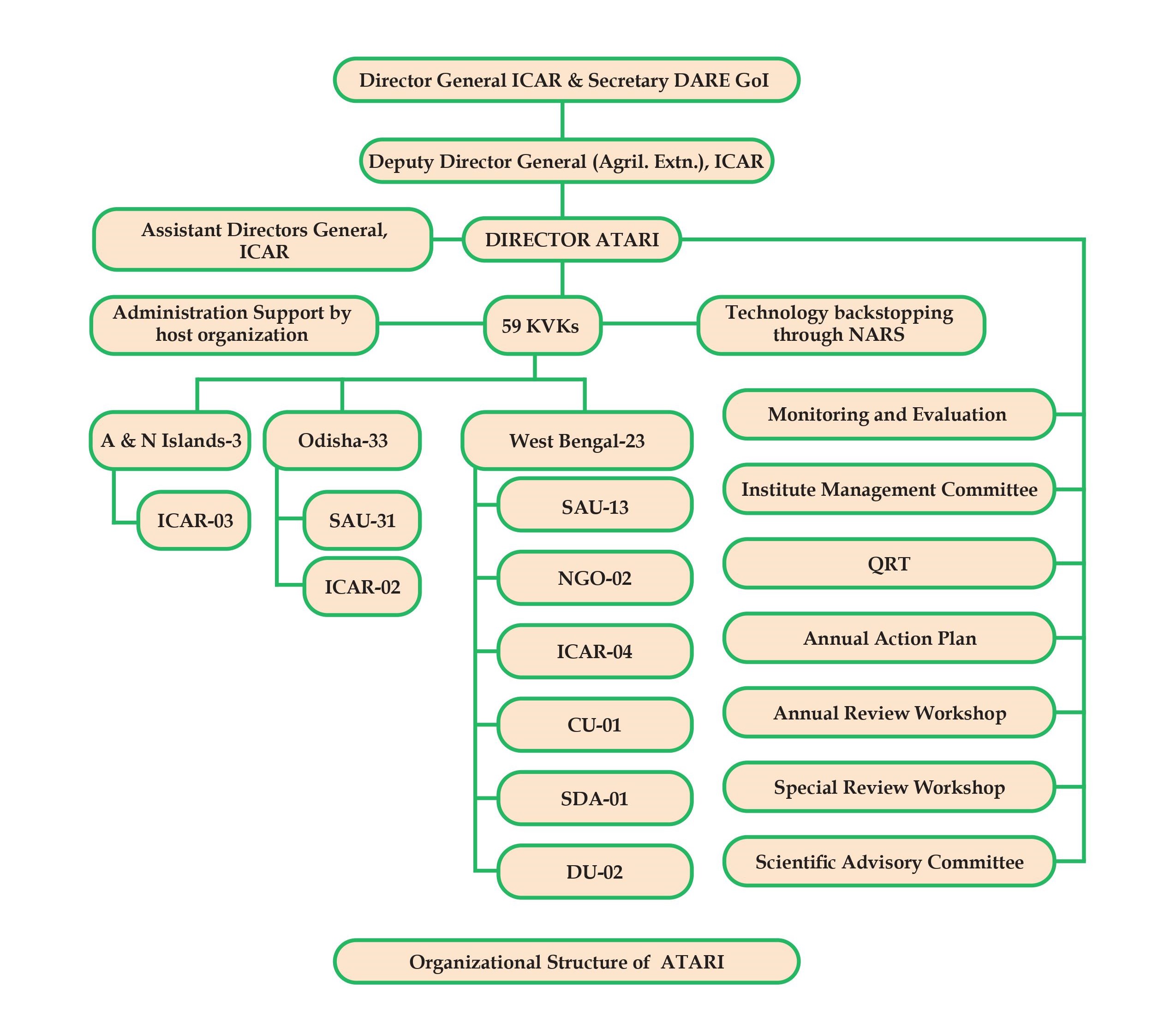 Organisational-Structure